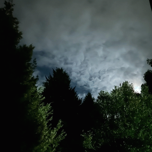 Lored Legend : Staring at the Moon